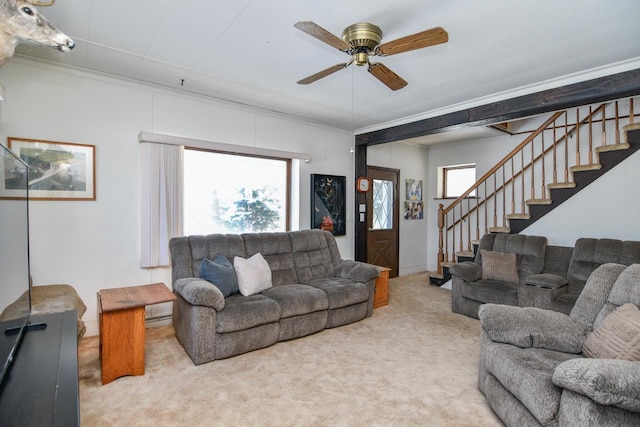 living room featuring a healthy amount of sunlight, carpet flooring, ceiling fan, and ornamental molding