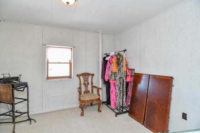 miscellaneous room featuring carpet flooring