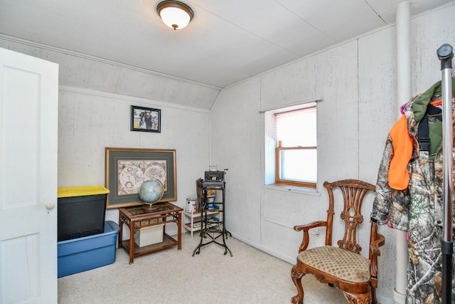 living area with vaulted ceiling and carpet flooring