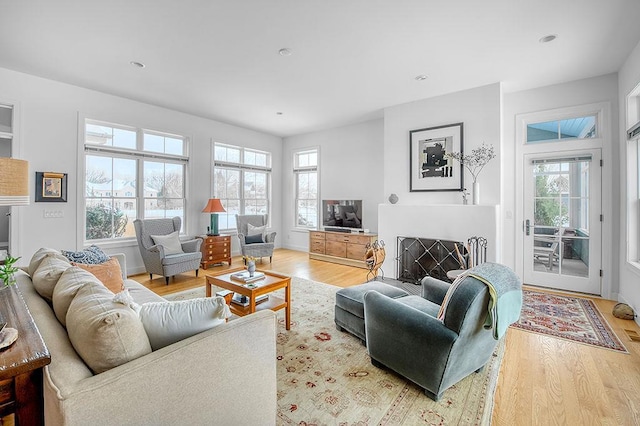 living room featuring wood-type flooring and plenty of natural light