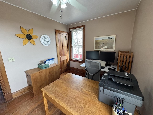 office featuring ceiling fan and light hardwood / wood-style flooring