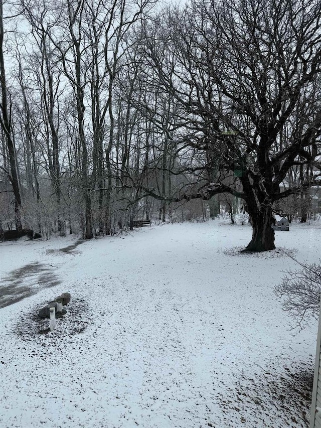 view of yard covered in snow