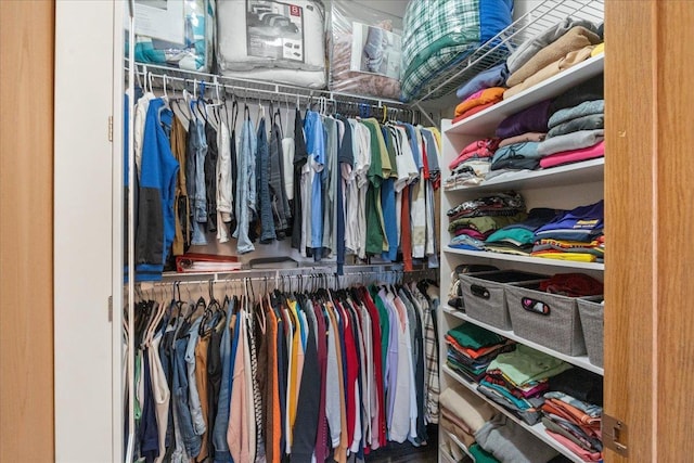 view of walk in closet