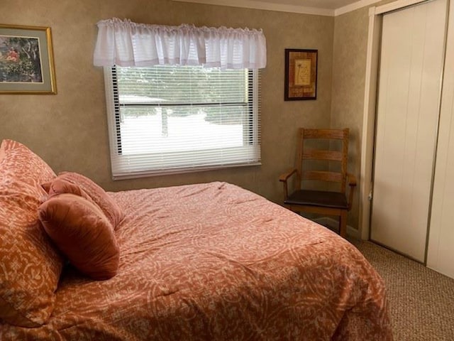 bedroom with crown molding, carpet floors, and a closet