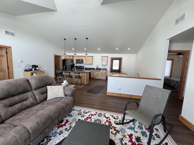 N8551 Lake Cabin Dr, New Lisbon, WI 53950 - living room featuring dark hardwood / wood-style floors, sink, and high vaulted ceiling