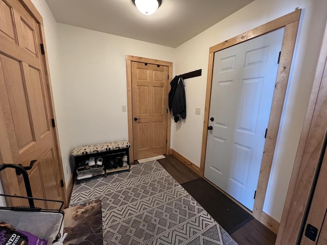 N8551 Lake Cabin Dr, New Lisbon, WI 53950 - foyer entrance featuring dark wood-type flooring