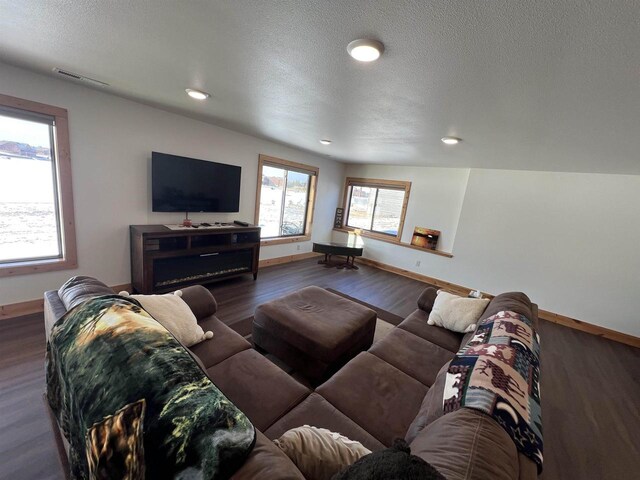 N8551 Lake Cabin Dr, New Lisbon, WI 53950 - living room featuring dark hardwood / wood-style floors and a textured ceiling