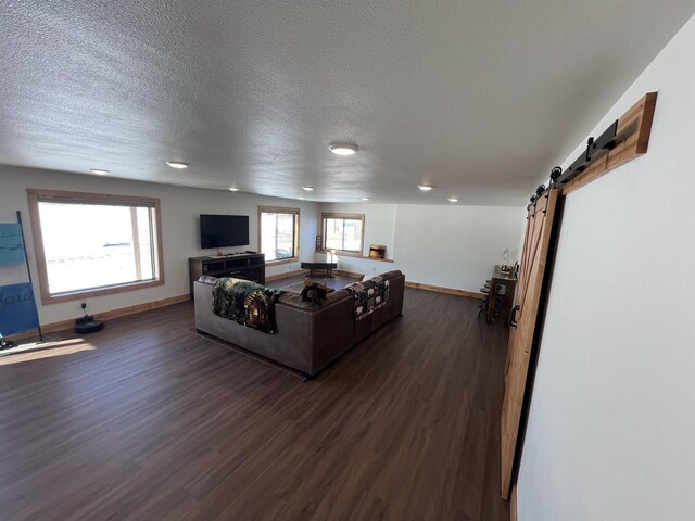 N8551 Lake Cabin Dr, New Lisbon, WI 53950 - living room with dark wood-type flooring, a barn door, and a textured ceiling
