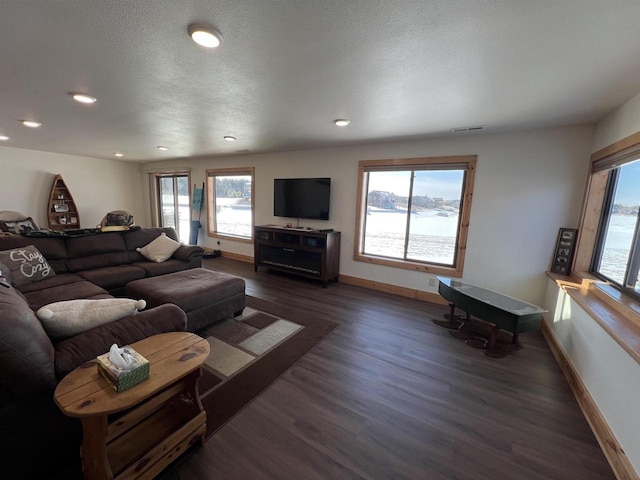 N8551 Lake Cabin Dr, New Lisbon, WI 53950 - living room with dark hardwood / wood-style floors and a textured ceiling