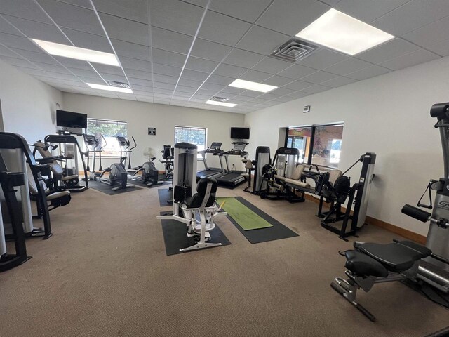 N8551 Lake Cabin Dr, New Lisbon, WI 53950 - workout area featuring a drop ceiling and carpet flooring