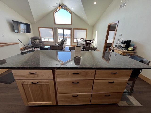 N8551 Lake Cabin Dr, New Lisbon, WI 53950 - kitchen featuring dark hardwood / wood-style floors, high vaulted ceiling, dark stone counters, and a kitchen bar