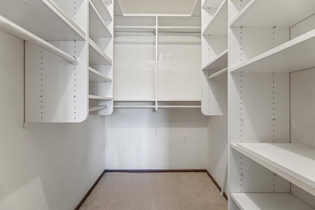 walk in closet with carpet floors