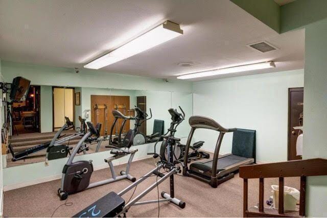 exercise area featuring carpet flooring