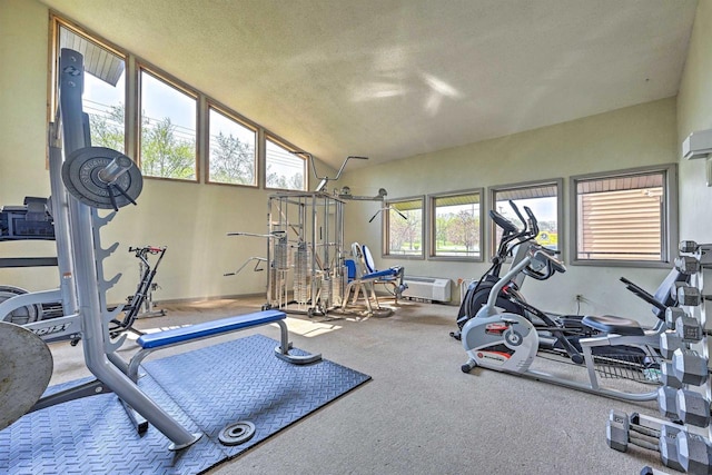 workout area featuring high vaulted ceiling and a textured ceiling