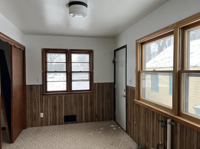 entryway with plenty of natural light, carpet, and wood walls