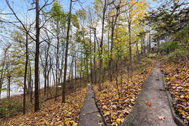 view of road with a water view