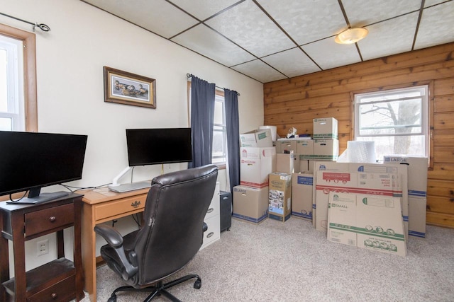 home office with a paneled ceiling, light colored carpet, and wooden walls