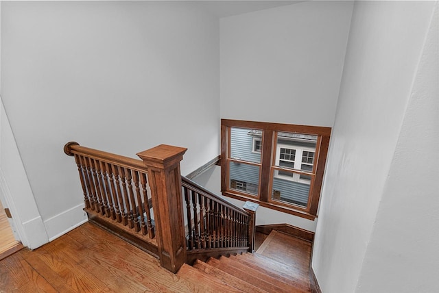 staircase featuring wood-type flooring