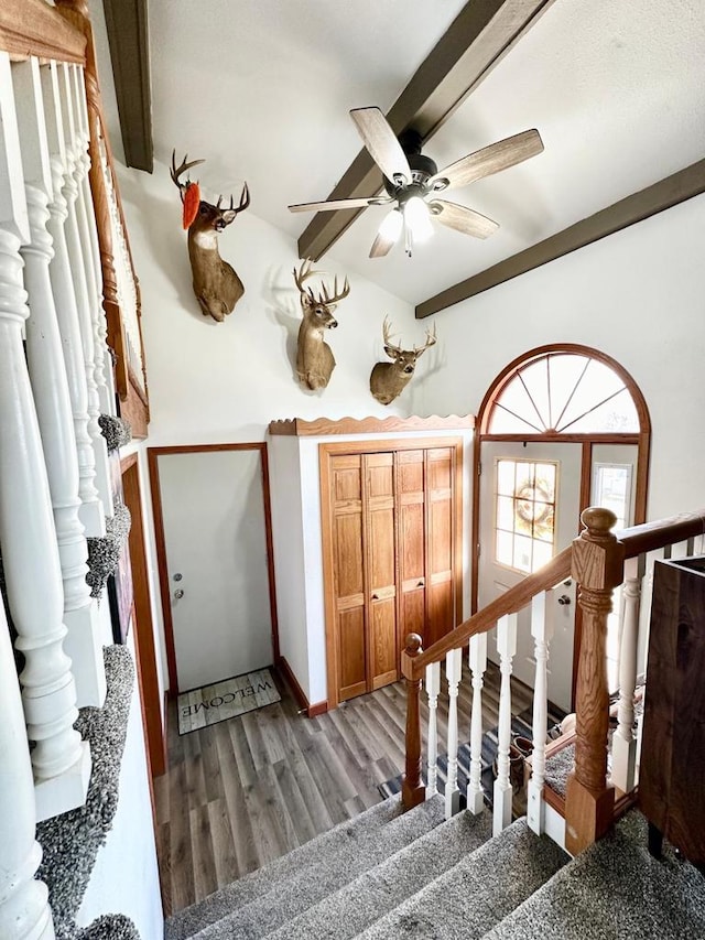 stairs featuring hardwood / wood-style floors, beam ceiling, and ceiling fan