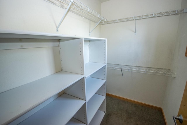 spacious closet with dark carpet