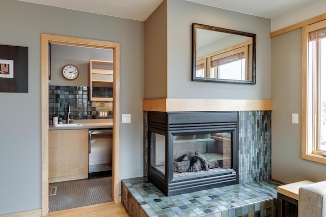 details featuring a fireplace, backsplash, a sink, wood finished floors, and dishwasher