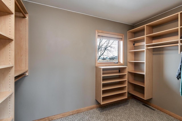 walk in closet with carpet and visible vents