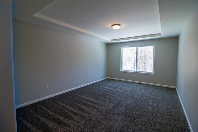 carpeted spare room featuring a raised ceiling