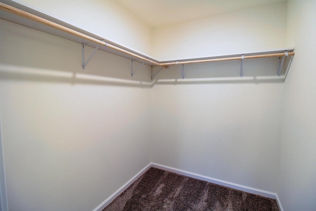 spacious closet featuring carpet