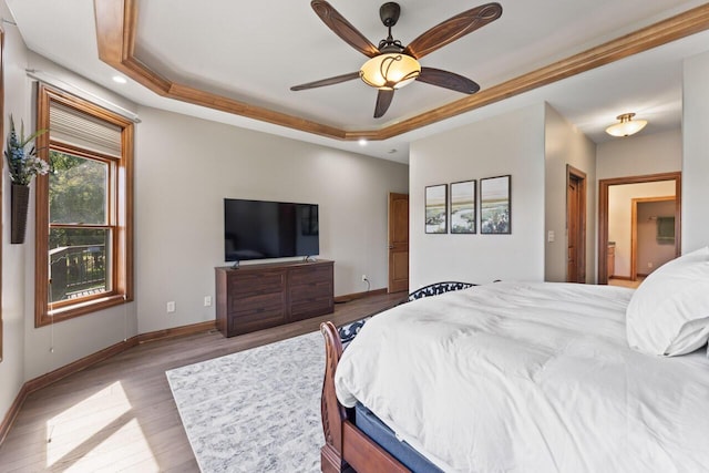 6507 Willow Ct, Waterford, WI 53185 - bedroom featuring a raised ceiling, hardwood / wood-style floors, and ceiling fan