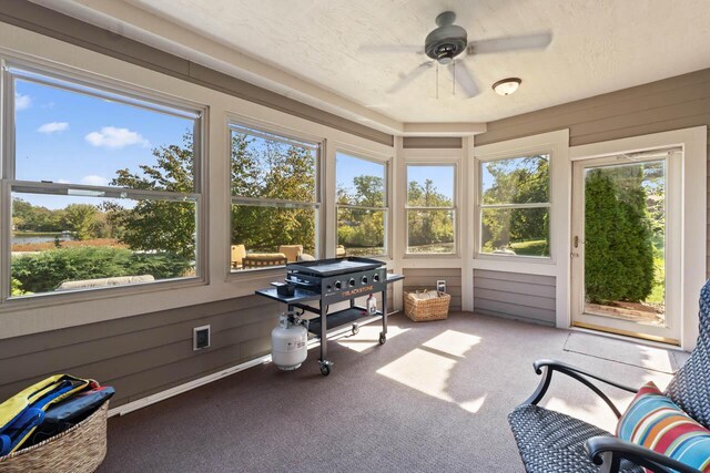 6507 Willow Ct, Waterford, WI 53185 - sunroom featuring ceiling fan