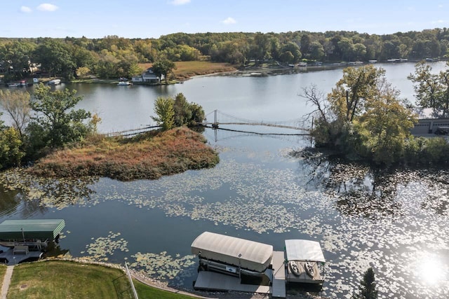 6507 Willow Ct, Waterford, WI 53185 - property view of water featuring a dock