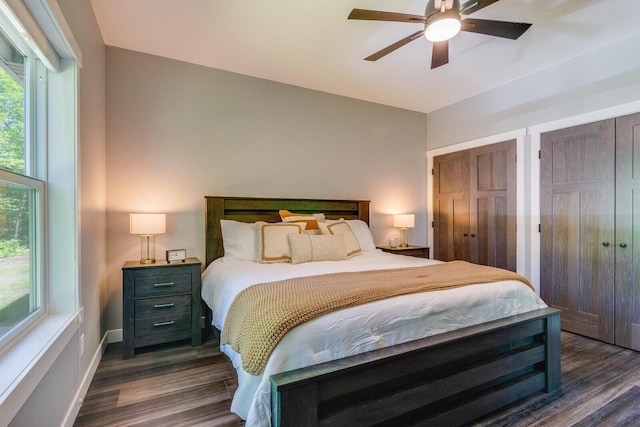 bedroom with multiple closets, dark wood finished floors, a ceiling fan, and baseboards