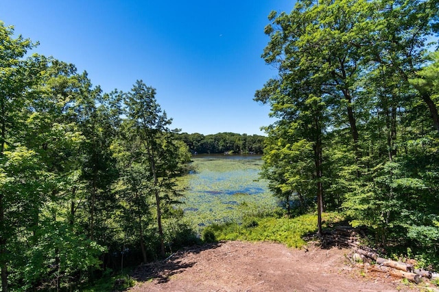 water view with a view of trees