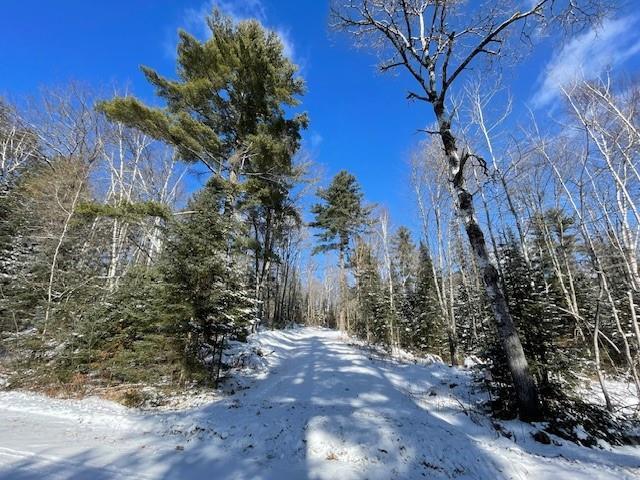 3936W N Clover Rd, Loretta, WI 54896