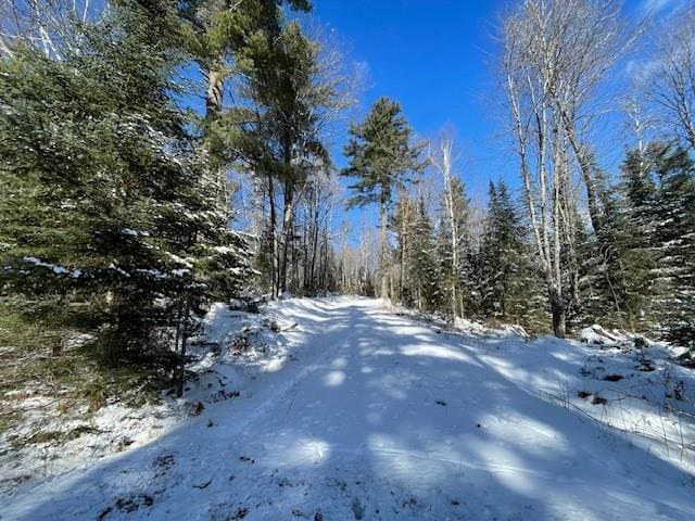 3936W N Clover Rd, Loretta, WI 54896