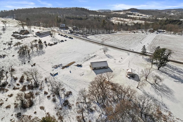 snowy aerial view featuring a mountain view