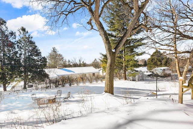 view of yard covered in snow