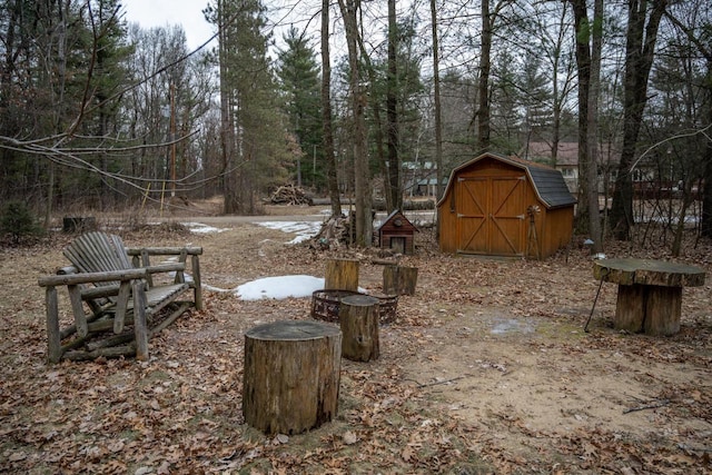 view of yard featuring a storage unit