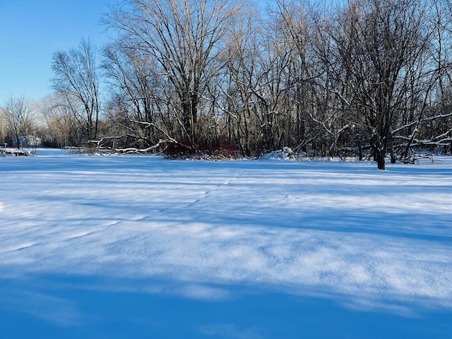 W7679 Oak St, Shiocton, WI 54170 - view of yard covered in snow