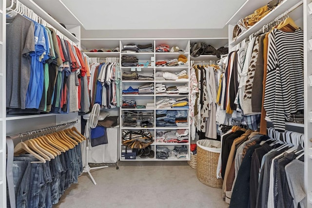 spacious closet with carpet floors