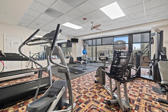 workout area with ceiling fan, carpet, and a drop ceiling