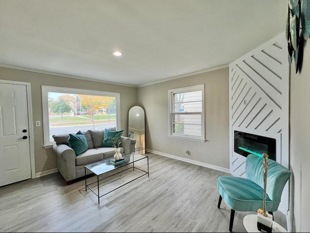 living room featuring crown molding, light hardwood / wood-style flooring, and a large fireplace