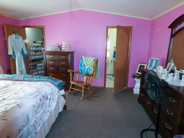 bedroom featuring vaulted ceiling