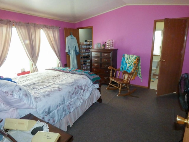 bedroom featuring vaulted ceiling