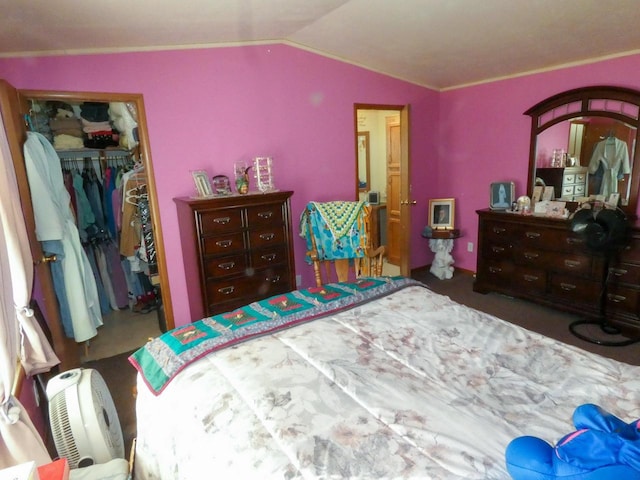 bedroom featuring a walk in closet, lofted ceiling, and a closet