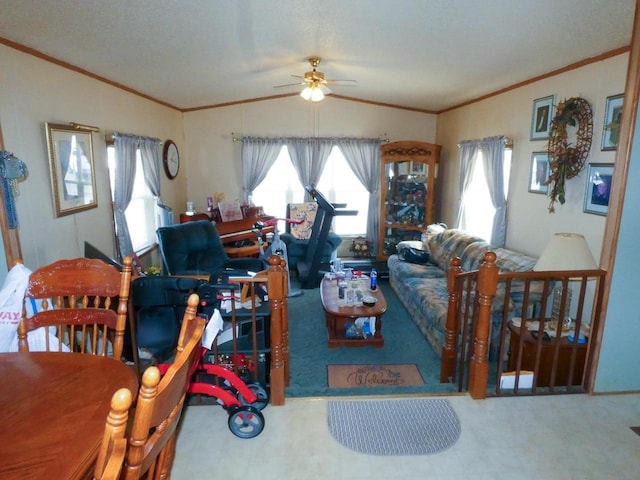 living room featuring ceiling fan, ornamental molding, vaulted ceiling, and carpet