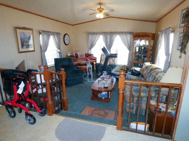 carpeted living room with lofted ceiling, ornamental molding, and ceiling fan