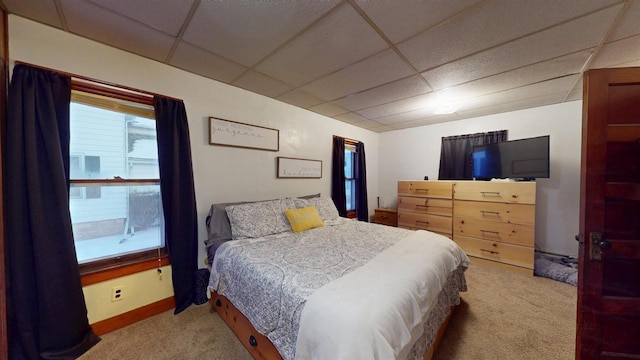 bedroom with a drop ceiling and light colored carpet