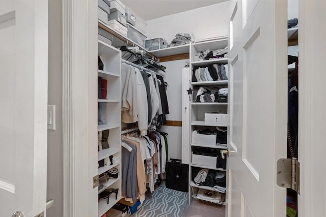 view of spacious closet