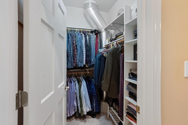 view of spacious closet